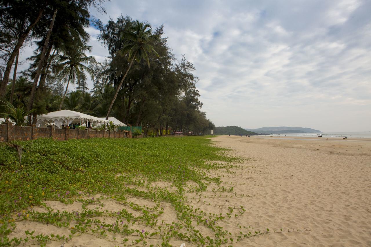 Talpona Paradise Beach House Canacona Eksteriør bilde
