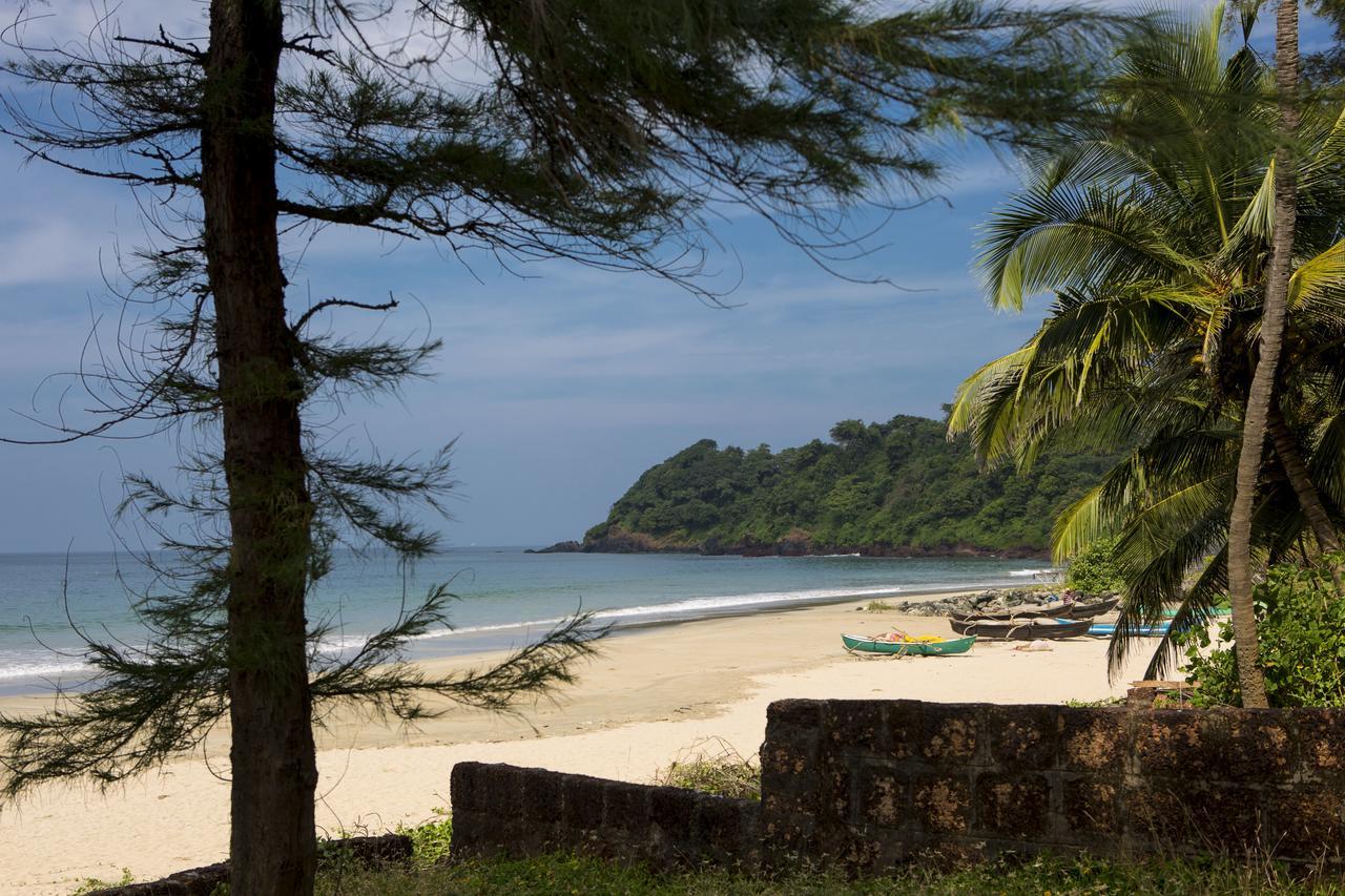 Talpona Paradise Beach House Canacona Eksteriør bilde